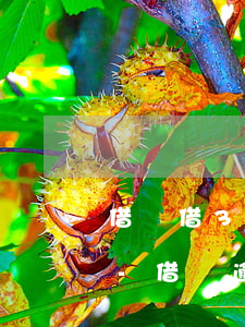 借唄借300逾期一個(gè)月要還多少-借唄逾期300塊會(huì)上征信嗎