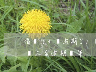 借唄借3萬逾期了1個(gè)月(支付寶借唄三千逾期兩年)