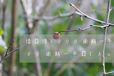 借唄借5000逾期一年的后果-借唄5000逾期一年會(huì)被起訴嗎