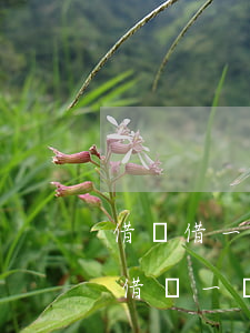 借唄借一個(gè)星期可以最低還款嗎-借唄一個(gè)星期之內(nèi)還利息是多少
