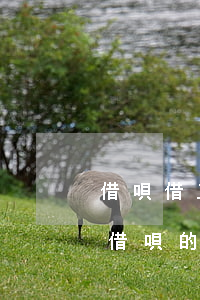 借唄借三個(gè)月怎么還，如何還款：理解借唄的三個(gè)月借款期限