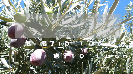 借唄借了10萬(wàn)3天后直接還款-借唄借了10萬(wàn)3天后直接還款可以嗎
