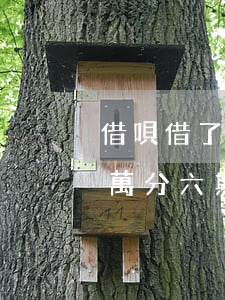 借唄借了2萬分6期還款怎么算-借唄借2萬分六期要還多少錢