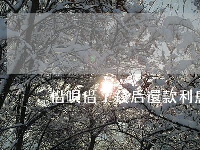 借唄借了錢后還款利息怎么算的-