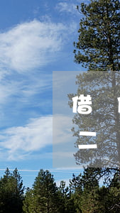 借唄借二萬也按時還款影響貸款嗎-借唄借二萬也按時還款影響貸款嗎知乎