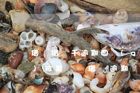 借唄借兩千逾期四個(gè)月會(huì)被起訴嗎 借唄逾期兩個(gè)月了說(shuō)要起訴是真的嗎