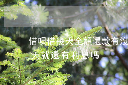 借唄借幾天全額還款有沒有利息-借唄借幾天就還有利息嗎