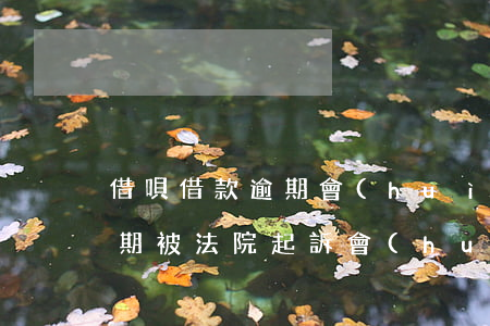 借唄借款逾期會(huì)被起訴嗎(借唄逾期被法院起訴會(huì)怎么樣)