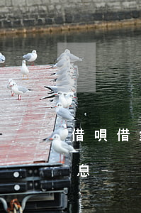 借唄借錢(qián)幾天還款要不要收利息-