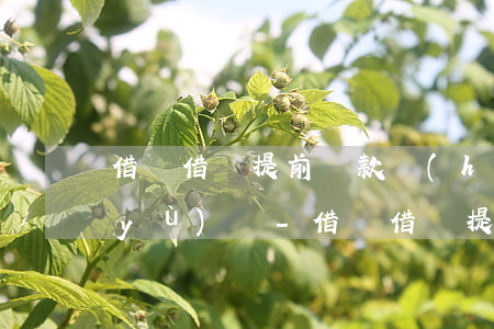 借唄借錢提前還款會(huì)影響信譽(yù)嗎-借唄借錢提前還款會(huì)影響信譽(yù)嗎安全嗎