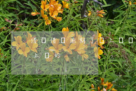 借唄借錢逾期了會上門嗎(有沒有借唄逾期被上門的?)