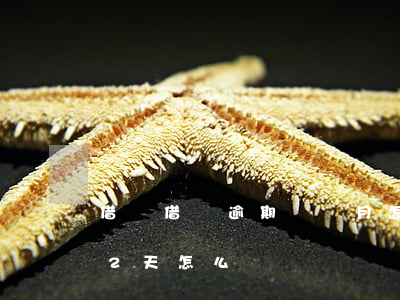借唄借錢逾期兩個月怎么辦(借唄不小心逾期2天怎么辦)