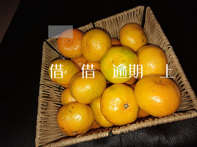 借唄借錢逾期會上門嗎(借唄逾期會走訪嘛)