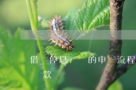 借唄停息掛賬的申請流程(借唄可以申請停息還款嗎)