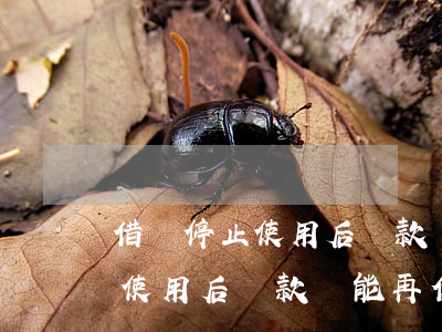 借唄停止使用后還款還能再借嗎-借唄停止使用后還款還能再借嗎
