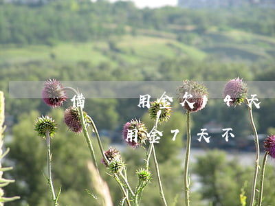 借唄備用金欠14天會(huì)怎么樣(借唄備用金7天不還會(huì)怎么樣)