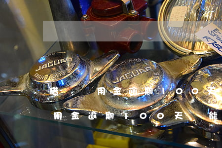 借唄備用金逾期100天還能用嗎-借唄備用金逾期100天還能用嗎安全嗎