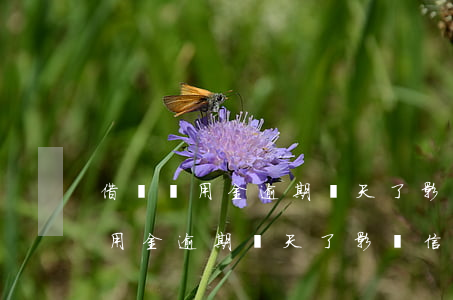 借唄備用金逾期兩天了影響信用嗎-借唄備用金逾期兩天了影響信用嗎怎么辦