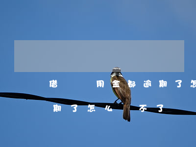 借唄備用金都逾期了怎么還(借唄備用金都逾期了怎么還不了)