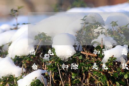 借唄先從余額寶扣除還是先還款-借唄先從余額寶扣除還是先還款呢