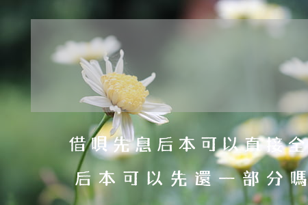 借唄先息后本可以直接全額還款-借唄先息后本可以先還一部分嗎