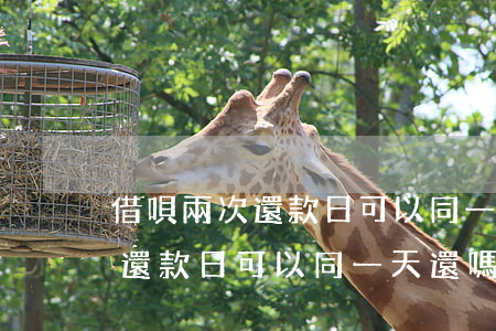 借唄兩次還款日可以同一天還嗎-借唄兩次還款日可以同一天還嗎