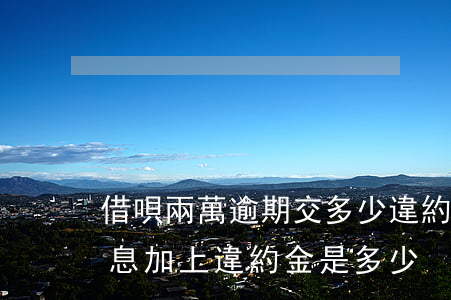 借唄兩萬逾期交多少違約金(借唄逾期一年利息加上違約金是多少?)