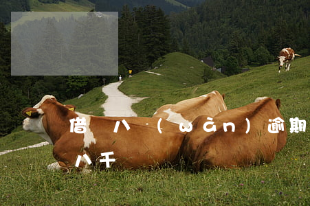 借唄八萬(wàn)逾期多久起訴(借唄逾期八千)
