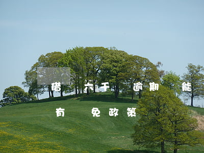 借唄六千塊逾期錢能減免嗎(支付寶借唄逾期有減免政策嗎)