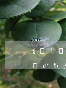 借唄六萬逾期會(huì)被起訴嗎（佛山借唄逾期多久被起訴）