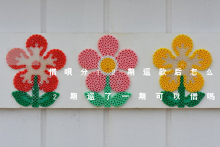 借唄分12期還款后怎么停用了-借唄分12期還了一期可以借嗎