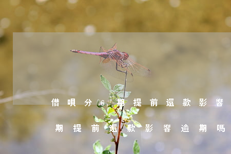 借唄分6期提前還款影響逾期嗎-借唄分6期提前還款影響逾期嗎怎么辦
