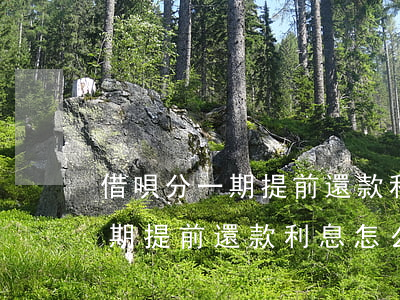 借唄分一期提前還款利息怎么算-借唄分一期提前還款利息怎么算的