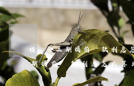 借唄分三期提前還款利息怎么算-借唄分三期提前還款利息怎么算出來(lái)的