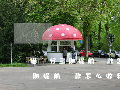 借唄分三期提前還款怎么收利息-借唄分三期提前還款怎么收利息的