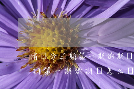 借唄分三期第一期逾期會怎么樣-借唄分三期第一期逾期會怎么樣嗎