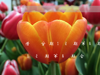 借唄分期12期第8期全額還款-借唄分期12期第8期全額還款可以嗎