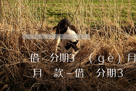 借唄分期3個(gè)月提前兩個(gè)月還款-借唄分期3個(gè)月提前兩個(gè)月還款可以嗎