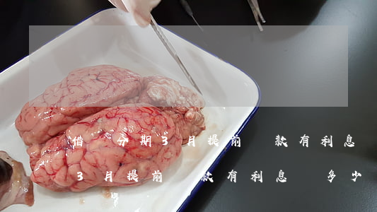 借唄分期3月提前還款有利息嗎-借唄分期3月提前還款有利息嗎多少