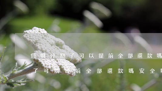 借唄分期了可以提前全部還款嗎-借唄分期了可以提前全部還款嗎安全嗎