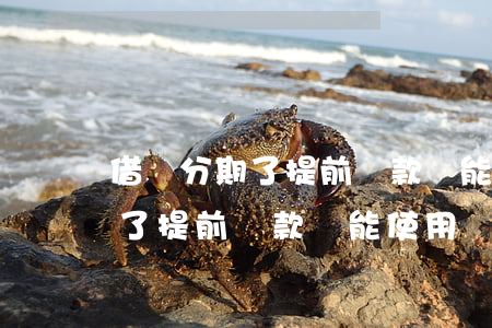 借唄分期了提前還款還能使用嗎-借唄分期了提前還款還能使用嗎安全嗎