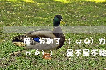 借唄分期了無(wú)力償還(借唄分期沒(méi)還是不是不能進(jìn)行貸款)