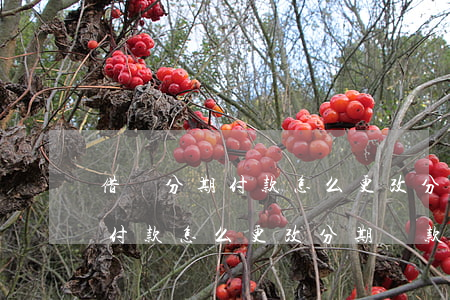借唄分期付款怎么更改分期還款-借唄分期付款怎么更改分期還款方式
