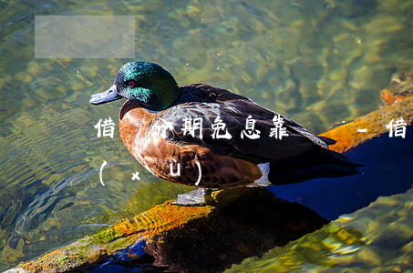 借唄分期免息靠譜嗎-借唄分期還款有手續(xù)費嗎
