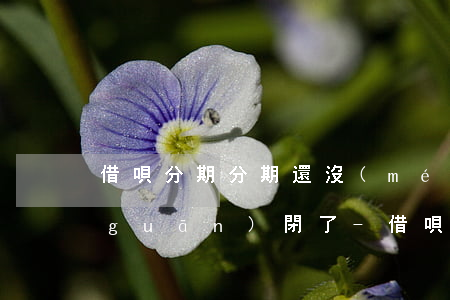 借唄分期分期還沒(méi)到還款就關(guān)閉了-借唄分期沒(méi)還完就關(guān)閉了