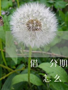 借唄分期后還能分期嗎(借唄分期后還能分期嗎怎么還)