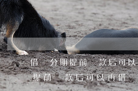 借唄分期提前還款后可以再借嗎-借唄分期提前還款后可以再借嗎
