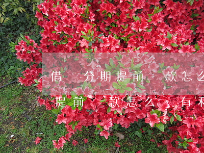 借唄分期提前還款怎么還有利息-借唄分期提前還款怎么還有利息呢