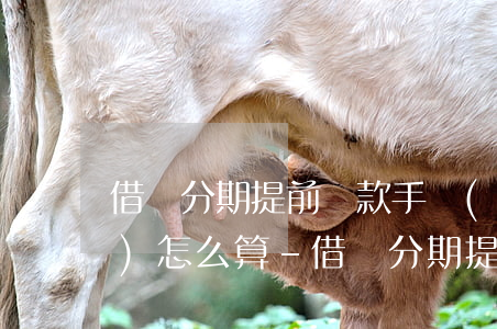 借唄分期提前還款手續(xù)費(fèi)怎么算-借唄分期提前還款手續(xù)費(fèi)怎么算的