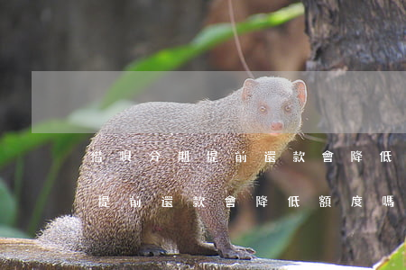 借唄分期提前還款會降低額度嗎-借唄分期提前還款會降低額度嗎
